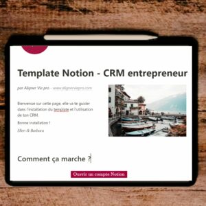 CRM Notion entrepreneur