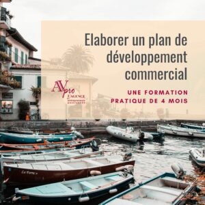 Lire la suite à propos de l’article Parcours Explorateur – Elaborer un plan de formation commercial